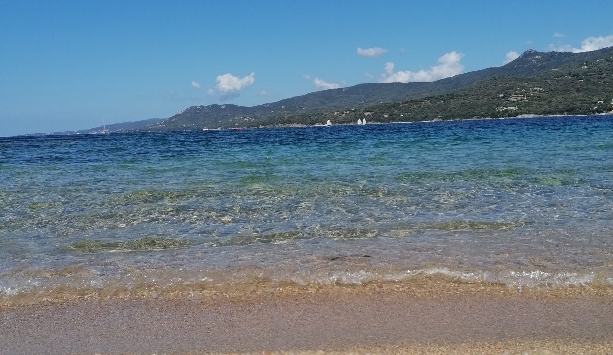 Photos Lou 2021 (4813)